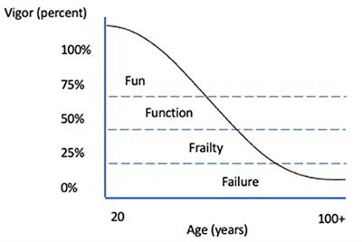 Canine Geriatric Rehabilitation: Considerations and Strategies for Assessment, Functional Scoring, and Follow Up